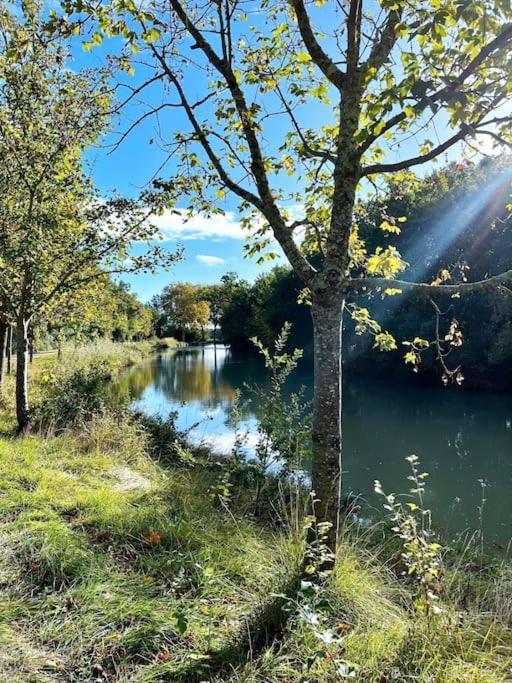 Gardouch Insolite Peniche Amazonie Canal Du Midi מראה חיצוני תמונה