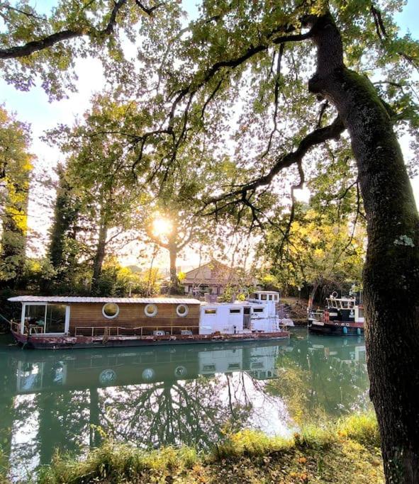 Gardouch Insolite Peniche Amazonie Canal Du Midi מראה חיצוני תמונה
